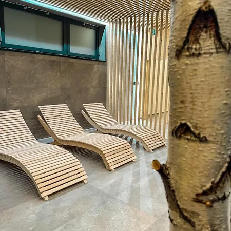 Brezovina - Orava * Oravske Vesele