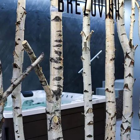 Brezovina Oravské Veselé - Orava